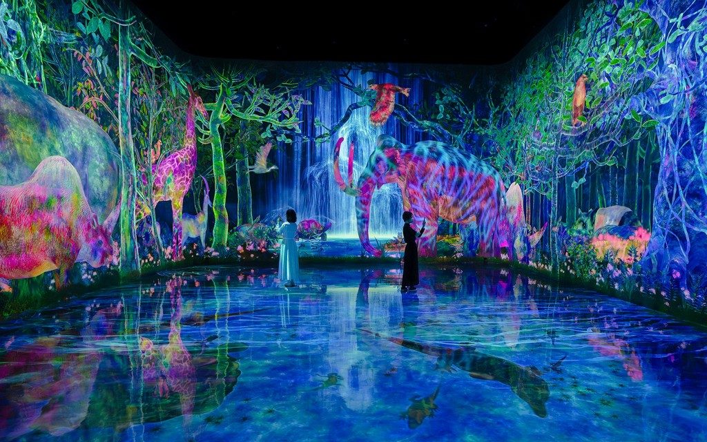 Combo: teamLab Planets Tokio + Entradas para los miradores de Tokio
(teamLab Planets (Enter anytime) + TOKYO SKYTREE Tembo & Galleria Deck (Select time)) - 1