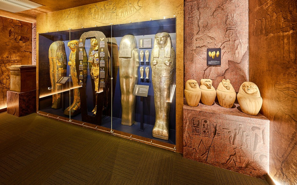 Combo: Tomba dei Faraoni + Biglietti per Cairns Aquarium (Combo: Tomb of the Pharaohs + Cairns Aquarium) - 2