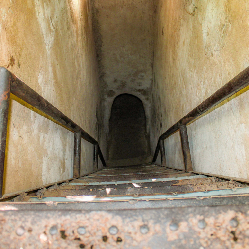 Cu Chi Tunnels and Mekong Delta Full-Day Tour from Ho Chi Minh (Cu Chi Tunnels and Mekong Delta Full-Day Tour from Ho Chi Minh - Standard Tour) - 3