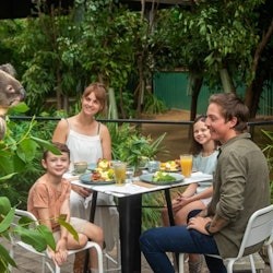 Wildpark Currumbin: Eintrittskarte - 1