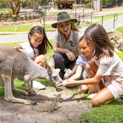 Wildpark Currumbin: Eintrittskarte - 2