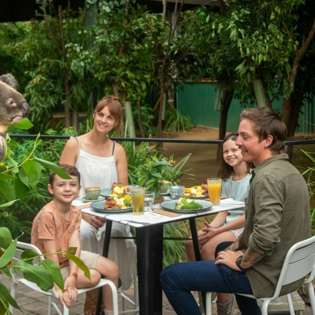 Currumbin Wildlife Sanctuary: Biglietto d'ingresso - Standard Admission - 1