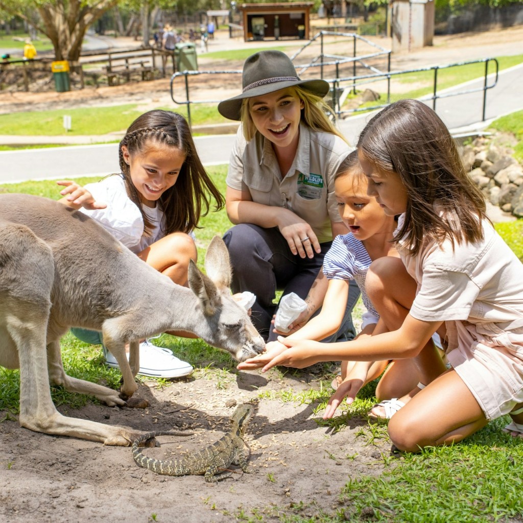 Currumbin Wildlife Sanctuary: Biglietto d'ingresso - Standard Admission - 2