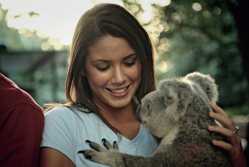 Currumbin Wildlife Sanctuary Ticket (Currumbin Wildlife Sanctuary - Admission) - 2
