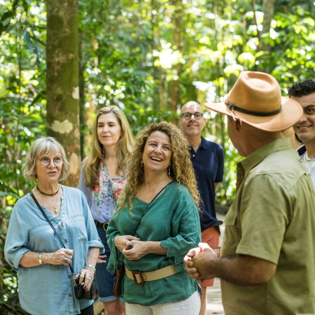 Daintree und Cape Tribulation Tagestour - 1