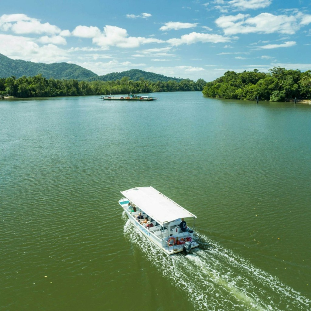 Daintree und Cape Tribulation Tagestour - 3