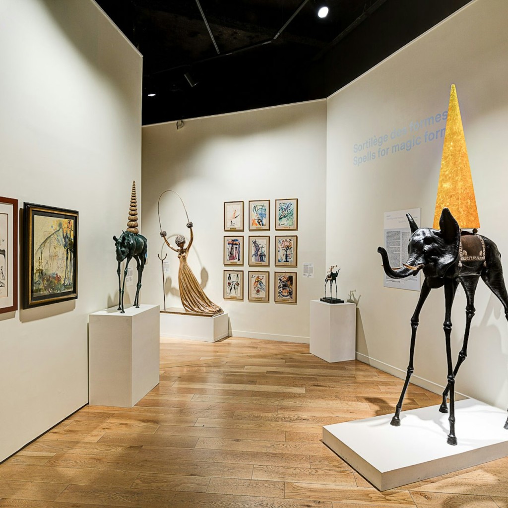 Dalí Paris: bilhete de entrada - Entrance & Audio guide - 3