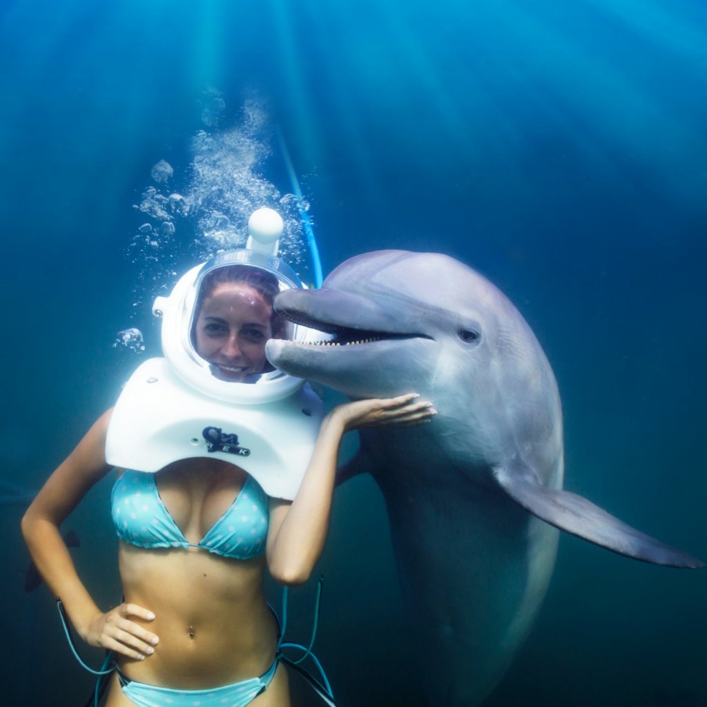 Delphinus Xel-Há: Entrada de acceso rápido + Recogida en el hotel + Nada con delfines - Dolphinclusive Interax - 1
