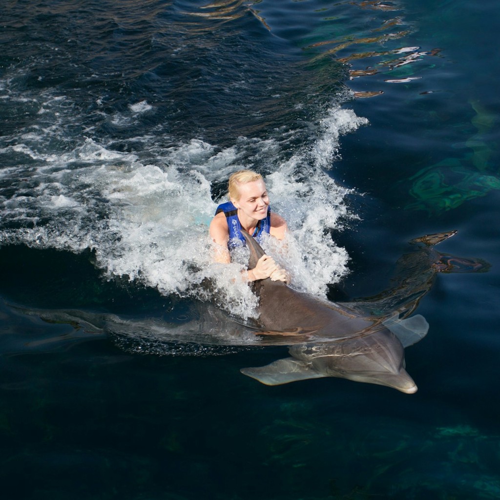 Delphinus Xel-Há : Billet avec accès rapide + Prise en charge à l'hôtel + Nager avec les dauphins - Dolphinclusive Ride - 2