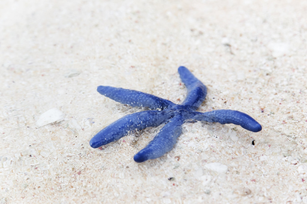 Desaru Beach and Tide Pool Walk - 1