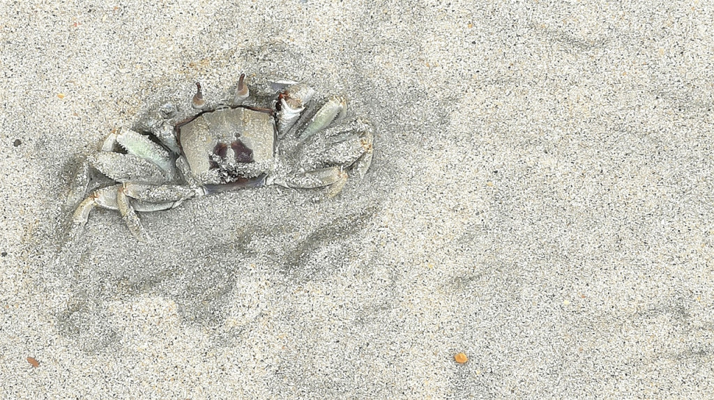 Desaru Beach and Tide Pool Walk - 2