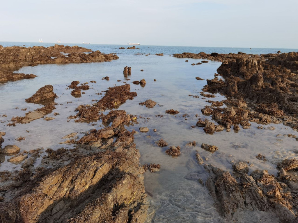 Desaru Beach and Tide Pool Walk - 3