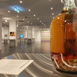 Museu da comida nojenta de Berlim: bilhete de entrada - 2