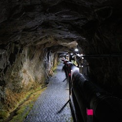 DMZ : Second Tunnel et Sky Bridge - Visite guidée d'une journée au départ de Séoul - 2
