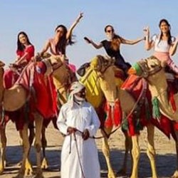 Doha: excursió de mig dia per un safari al desert + trasllat d'anada i tornada - 3