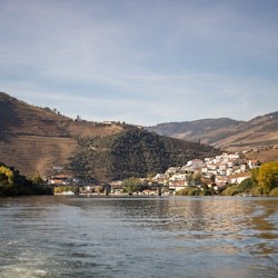 Douro Valley, Amarante & Régua: Day Trip + River Cruise & Wine Tasting - 1