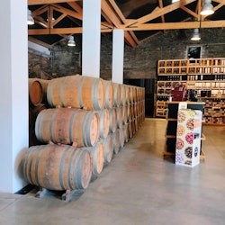 Douro Valley, Amarante & Régua: Day Trip + River Cruise & Wine Tasting - 3