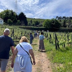 Dolina Douro: rejs + wycieczka po winnicy i lunch z Porto - 2