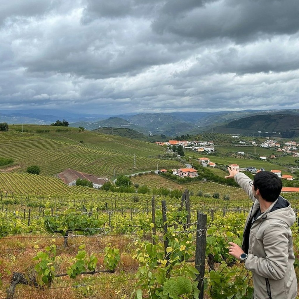 Vall del Duero: Excursió d'un dia + Creuer pel riu i dinar des de Porto - 1