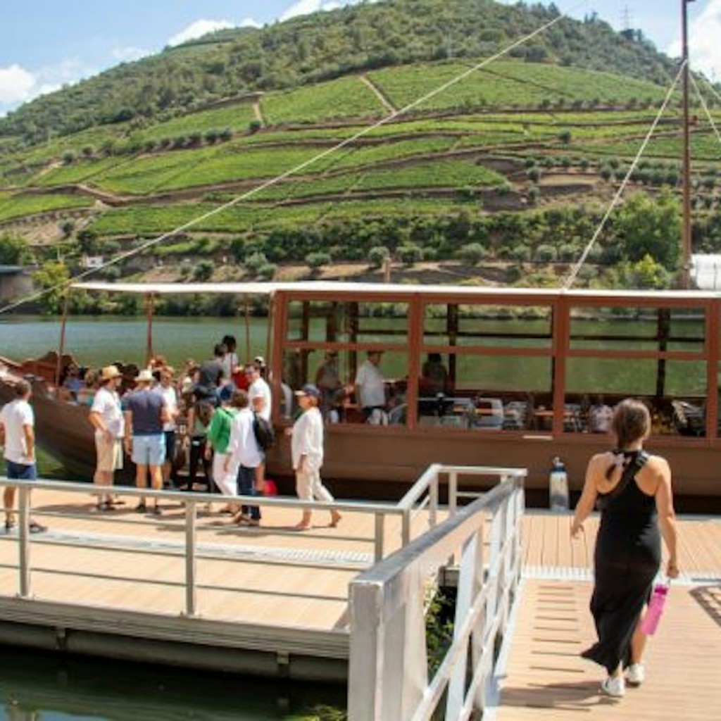 Douro Valley: Day Trip + Wine, Cheese, & Olive Oil Tasting from Porto - 2
