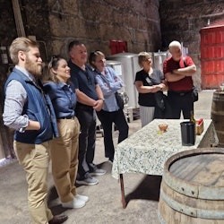Vall del Duero: visita privada + creuer fluvial i degustació de vins des de Porto - 1