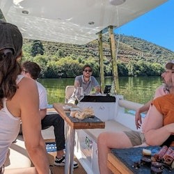 Vall del Duero: visita privada + creuer fluvial i degustació de vins des de Porto - 3