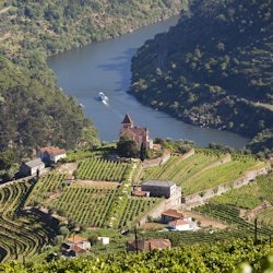 Dolina Douro: rejs po rzece + śniadanie i lunch z Porto - 2