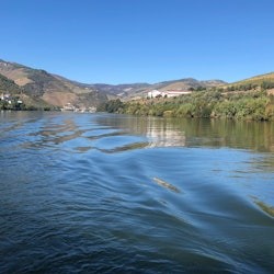 Dolina Douro: rejs po rzece + wycieczka po winnicy i lunch - 3