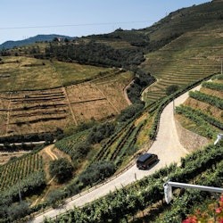 Dolina Douro: wycieczka po winie w małej grupie z Porto - 1