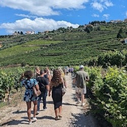 Douro Valley: Wine Tour + Lunch from Porto - 1