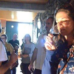 Douro Valley: Wine Tour + Lunch from Porto - 2