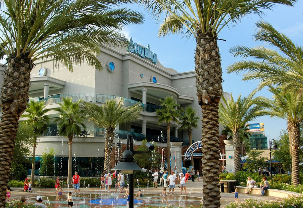 Downtown Aquarium Houston Ticket (All Day Adventure Pass) - 1