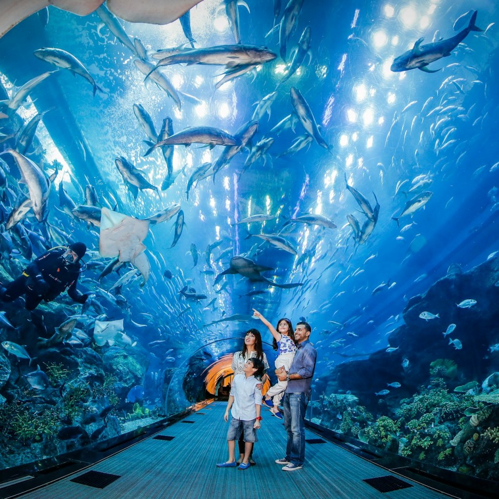 Dubai Aquarium & Burj Khalifa: Level 124/125 Ticket - 1