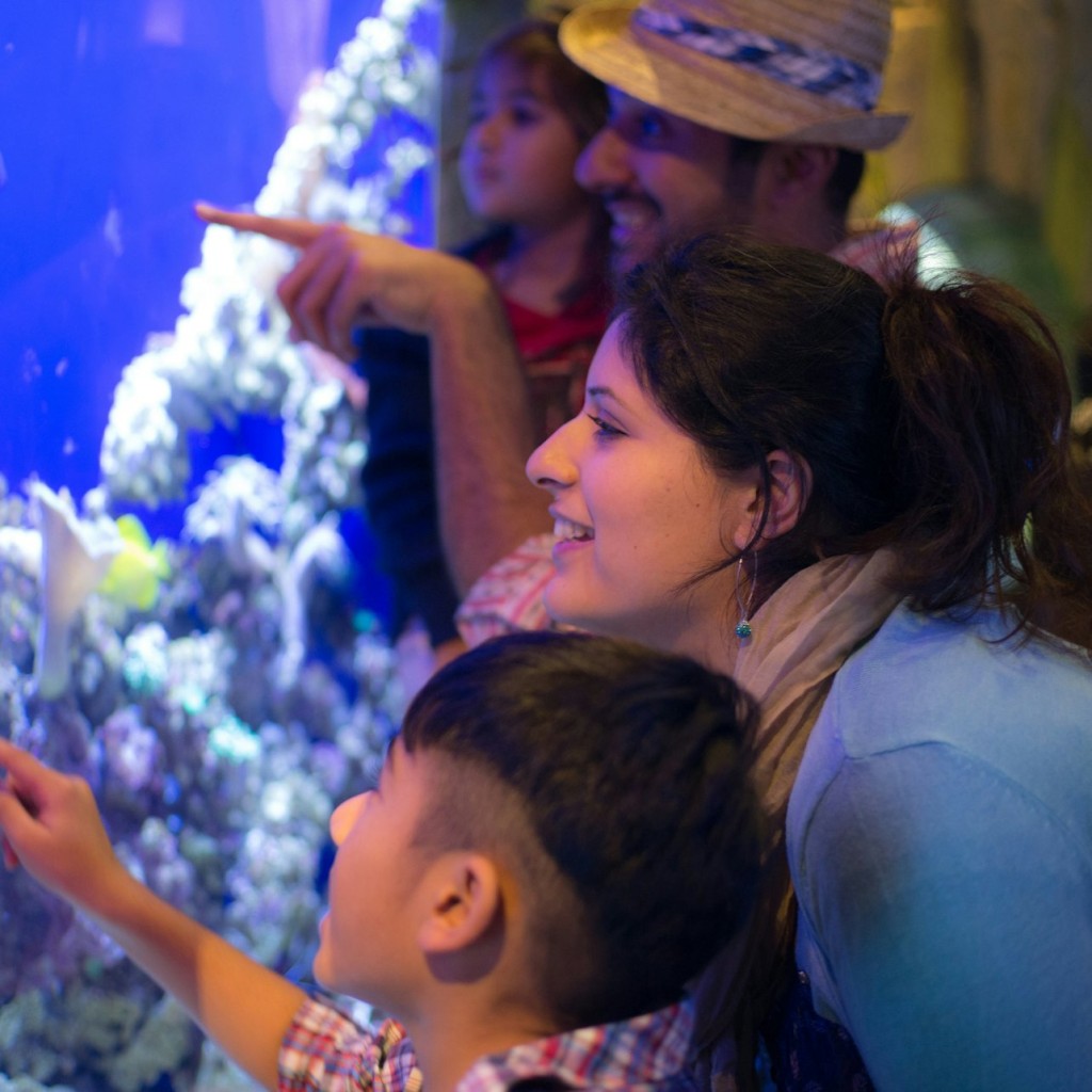 Dubai Aquarium & Burj Khalifa: Level 124/125 Ticket - 2