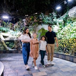 Acquario di Dubai e Osservatorio Sky Views: Biglietto d'ingresso + scivolo di vetro - 2
