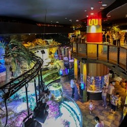 迪拜水族馆与水下动物园: 门票 + 邂逅企鹅 - 1