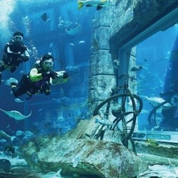 Acquario e zoo sottomarino di Dubai: Platinum Pass - 2