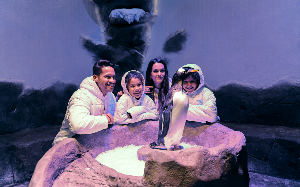 Dubai Aquarium und Unterwasserzoo Tickets (Combo: Dubai Aquarium + Burj Khalifa At the Top (Level 124 & 125) Entry Tickets) - 2