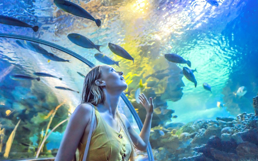 Dubai Aquarium und Unterwasserzoo Tickets (Combo: Dubai Aquarium + Burj Khalifa At the Top (Level 124 & 125) Entry Tickets) - 3