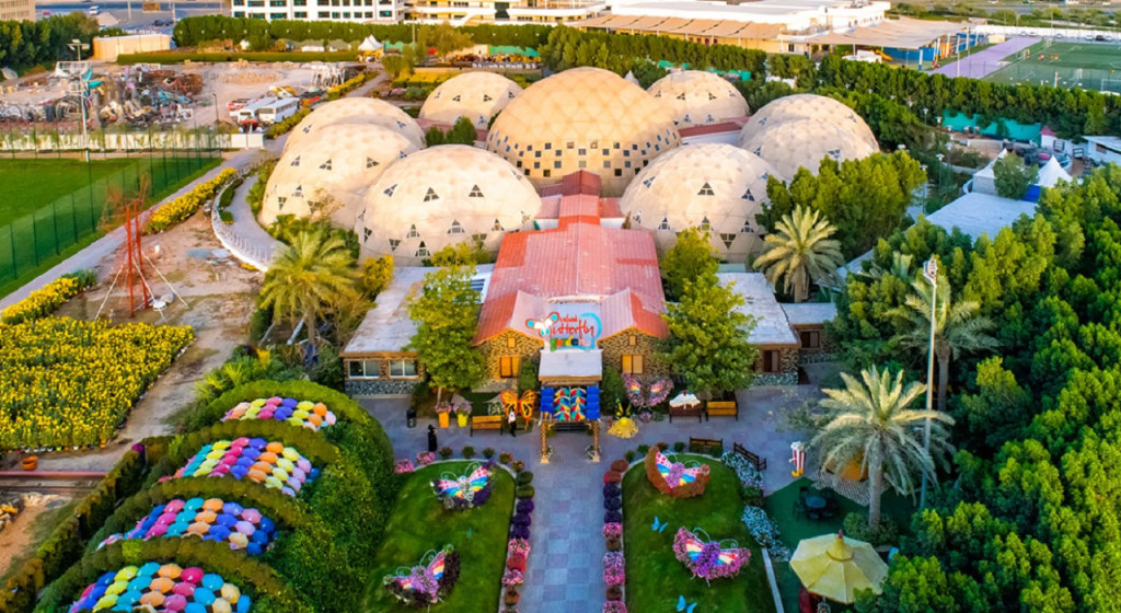 Dubai Butterfly Garden (Admission) - 3