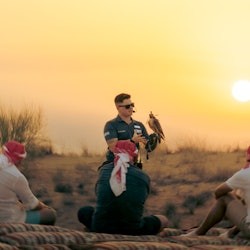 Dubai: Geführte Kamel-Wüstensafari + Abendessen + Transfers + Falken-Show - 2