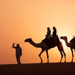 Dubai: Geführte Luxus-Wüstensafari + Falknerei-Show + Abendessen + Transfers - 2