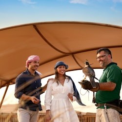 Dubai: Geführte Luxus-Wüstensafari + Falknerei-Show + Abendessen + Transfers - 3
