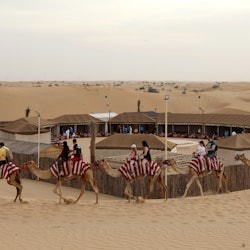 Dubai: Excursió de mig dia per la ciutat + Safari al desert al vespre + Sopar a la barbacoa al campament d'Al Khyama - 2