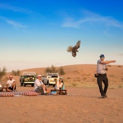 Dubai: Heritage Desert Safari in Vintage Land Rover + Transfers + Dinner - 3