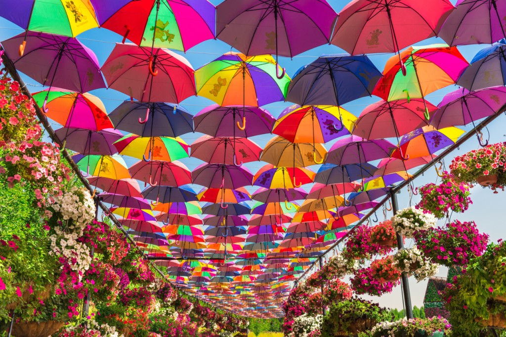 Dubai Miracle Garden Ticket (COMBO: Dubai Miracle Garden + Dubai Butterfly Garden Admission) - 1
