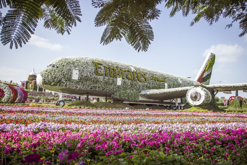 Dubai Miracle Garden Ticket (COMBO: Dubai Miracle Garden + Dubai Butterfly Garden Admission) - 2