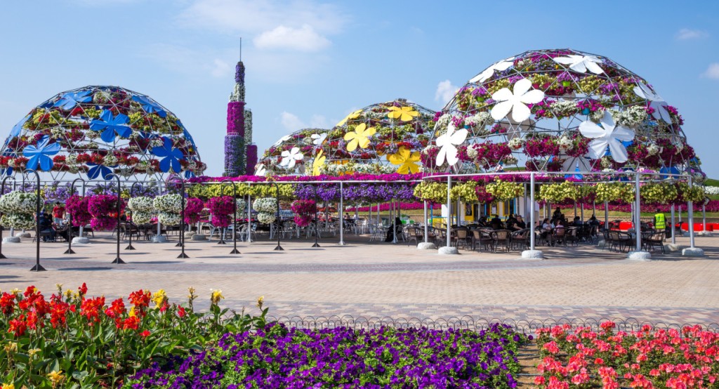 Dubai Miracle Garden Ticket (COMBO: Dubai Miracle Garden + Dubai Butterfly Garden Admission) - 3