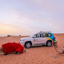 Safari matinal pel desert de Dubai: passeig en camell i sandboard - 3