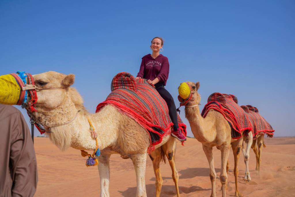 Dubai Red Dunes Desert Safari Tour with Camel Ride and Buffet Dinner at Al Khayma Camp (Dubai Red Dunes Desert Safari Tour with Camel Ride and Buffet Dinner - Private Tour (Summer Season)) - 1